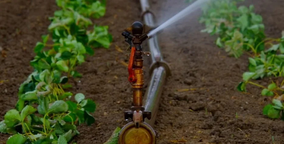 Large gamme de matériel agricole et équipements techniques pour les professionnels du secteur.
